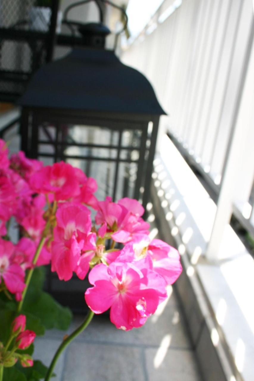 Socrates By Heloni Apartments เอเธนส์ ภายนอก รูปภาพ